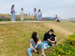 -光明小镇欢乐田园