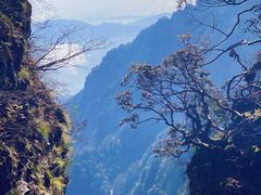 -峨眉山风景名胜区