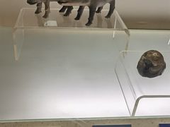 -旅顺博物馆