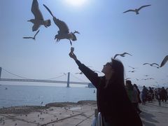 -大连星海广场音乐喷泉