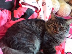 -天津前进宠物医院(前进道店)