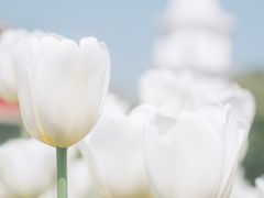 -厦门园林博览苑