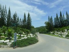 -东芭乐园