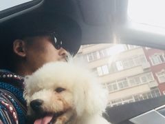 -超宠爱宠物摄影-Super pet