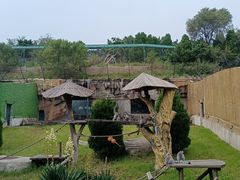 -大连森林动物园