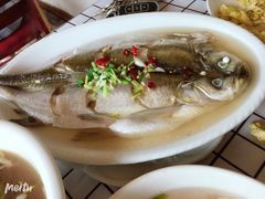 -梨云山居农家乐