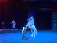 -珠海横琴长隆《卡卡虎奇遇记》