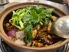 -胡须佬鸡煲四季火锅店(石厦西村直营店)