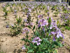 -江南原著(中联广场店)