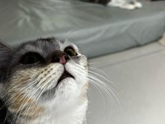 -平行世界·猫咖(首经贸店)