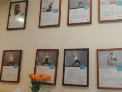 -加帕瑜伽培训学院