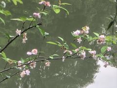 -成都杜甫草堂博物馆