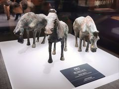 -邯郸市博物馆(新馆)