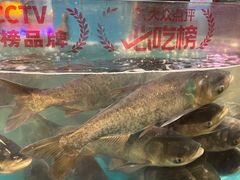 -魏铭鱼头捞饭(晋阳路店)