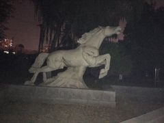 -莲湖公园