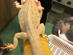 -藦茜花园宠物主题亲子互动体验馆(国顺东路店)