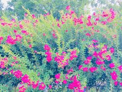 -武汉紫薇都市田园