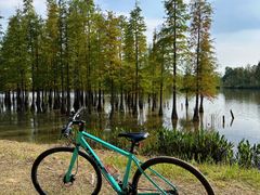 -白鹭湾湿地公园