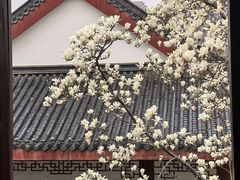 -堤角公园
