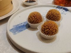 -金粤九号(李公堤店)