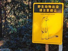 -ZOO COFFEE动物园咖啡(红山森林动物园店)