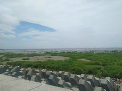 -奉贤海滩