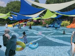 -苏州乐园森林水世界