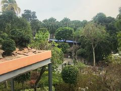 -东芭乐园