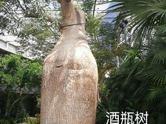 -国家植物园