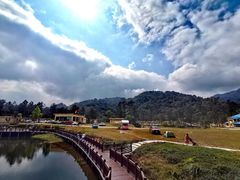-海南热带雨林国家公园吊罗山景区