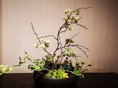 -天然台1908(中建广场店)