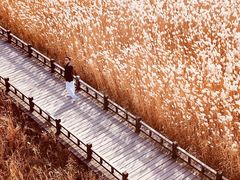 -野鸭湖国家湿地公园