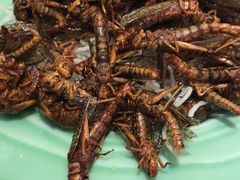 -金蝉食府(维吉奥广场店)