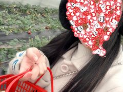 -喜杨洋草莓采摘园