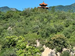 -白水寺森林公园