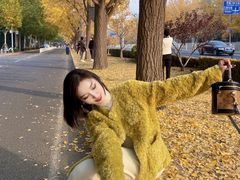 -三里屯东五街银杏大道