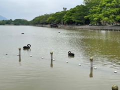 -江心屿景区