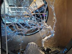 -红辣椒·川菜·火锅(张杨路店)