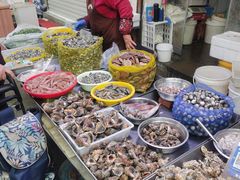 -青岛市本溪路农贸市场