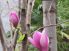 -徐家汇源景区-衡山公园