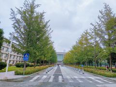 -东北大学(南湖校区)