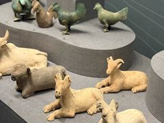 -广西壮族自治区博物馆