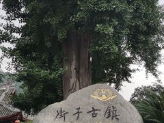 -崇州市街子古镇