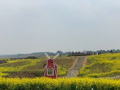 -空港花田景区