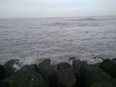 -南汇嘴观海公园