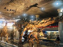 -国家自然博物馆