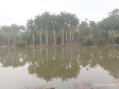 -中国科学院西双版纳热带植物园