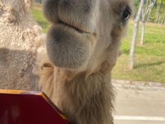 -南京金牛湖风景区