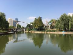 -雁滩公园