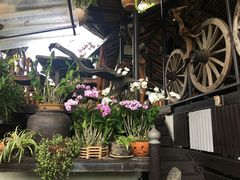 -自然餐厅(Phuket)